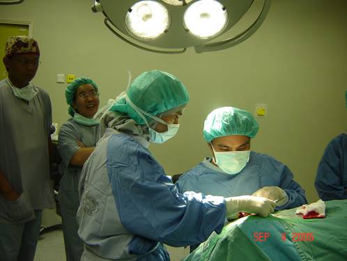 Gallery founding of aanoa university of kebangsaan malaysia september 2006 picture4